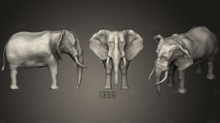 Elephant (2) 3d stl модель для ЧПУ